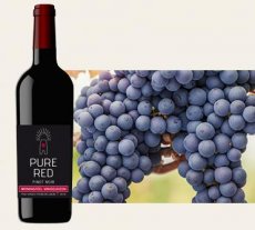 Pinot Noir 2020 Pure Red Vandeurzen 2019
