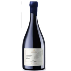 Salcuta Epizod Chardonnay Moldavië