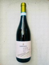 Verdicchio dei Castelli di Jesi "Il Filetto"